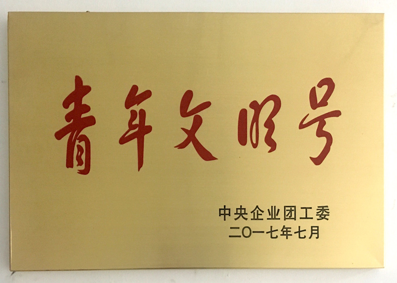 公司“BIM技術(shù)應用所”喜訊連連