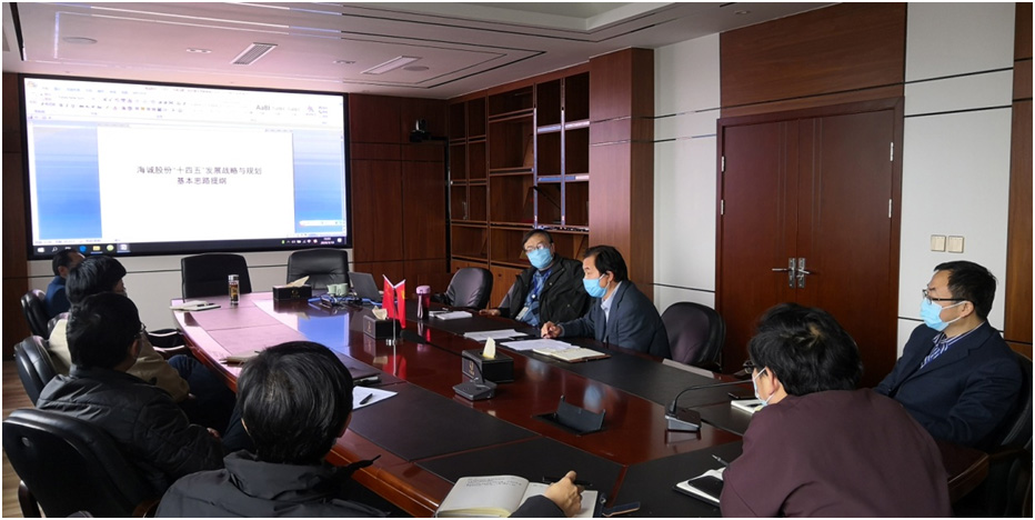 公司召開“十四五”發(fā)展戰(zhàn)略與規(guī)劃編制工作啟動會