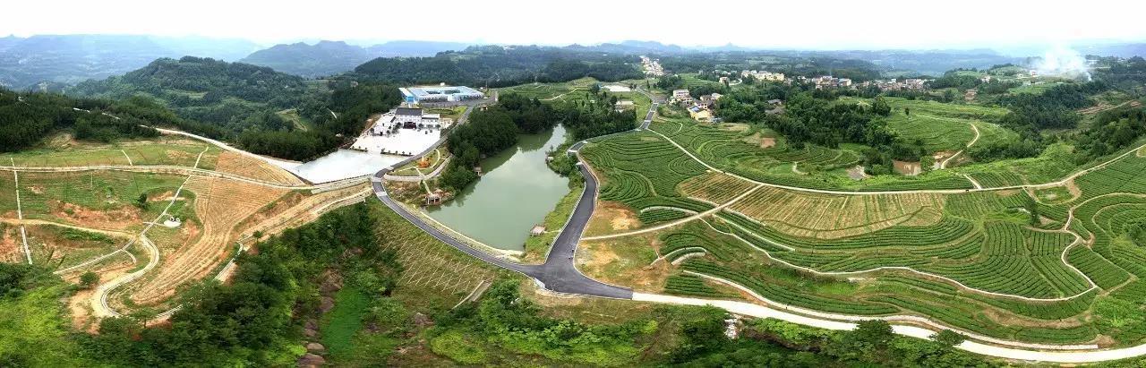 高山上13.jpeg 高山上13.jpeg